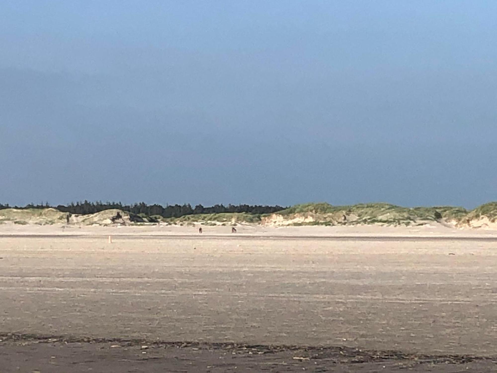 Haubarg Alte Strandvogtei เวสเตอร์เฮเวอร์ ภายนอก รูปภาพ