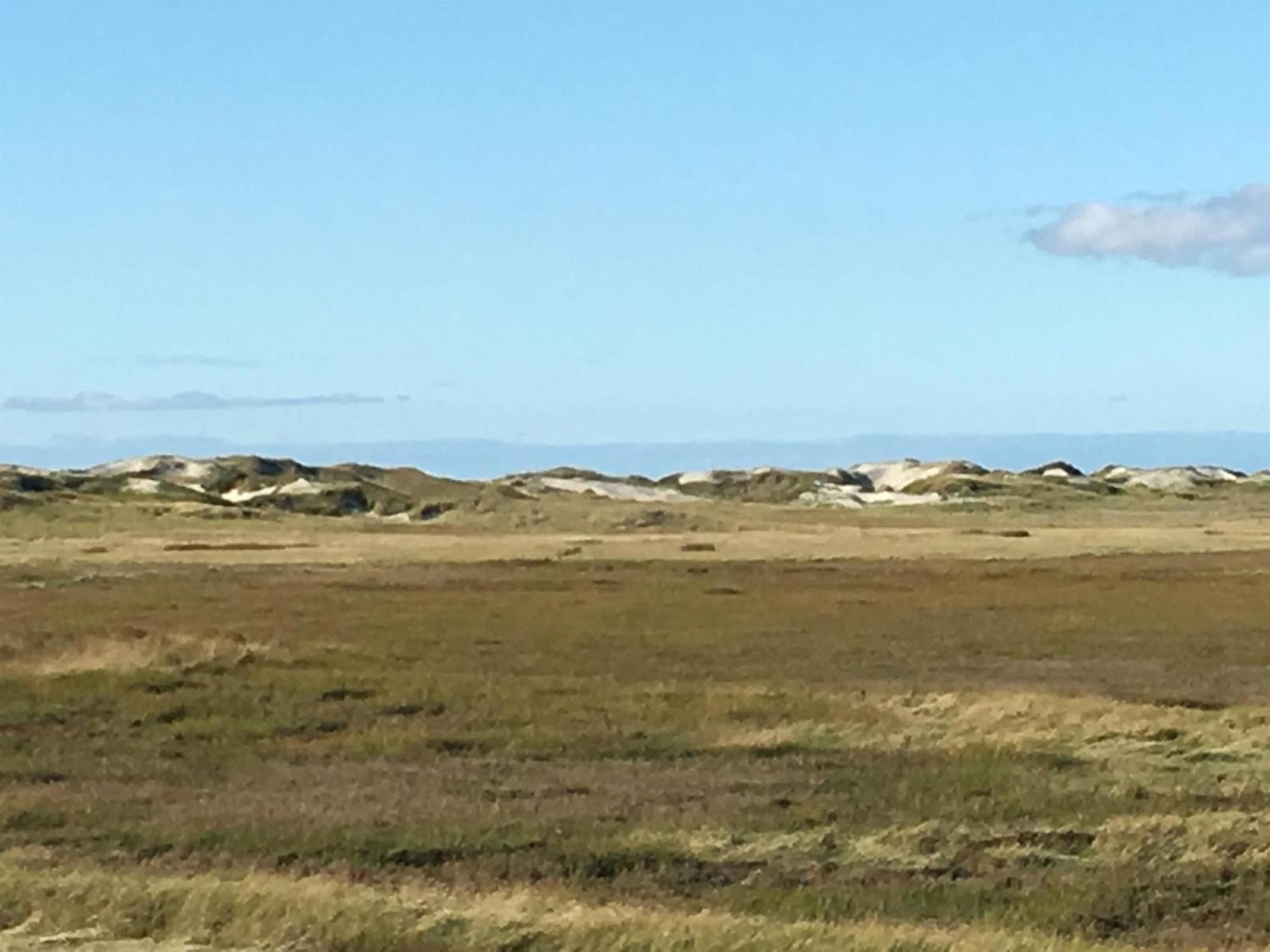 Haubarg Alte Strandvogtei เวสเตอร์เฮเวอร์ ภายนอก รูปภาพ